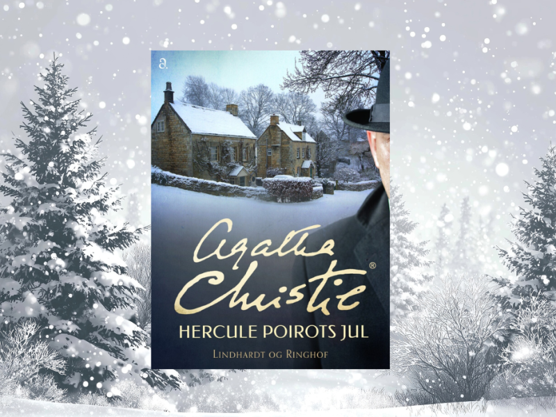 en bogforside med sne i baggrunden