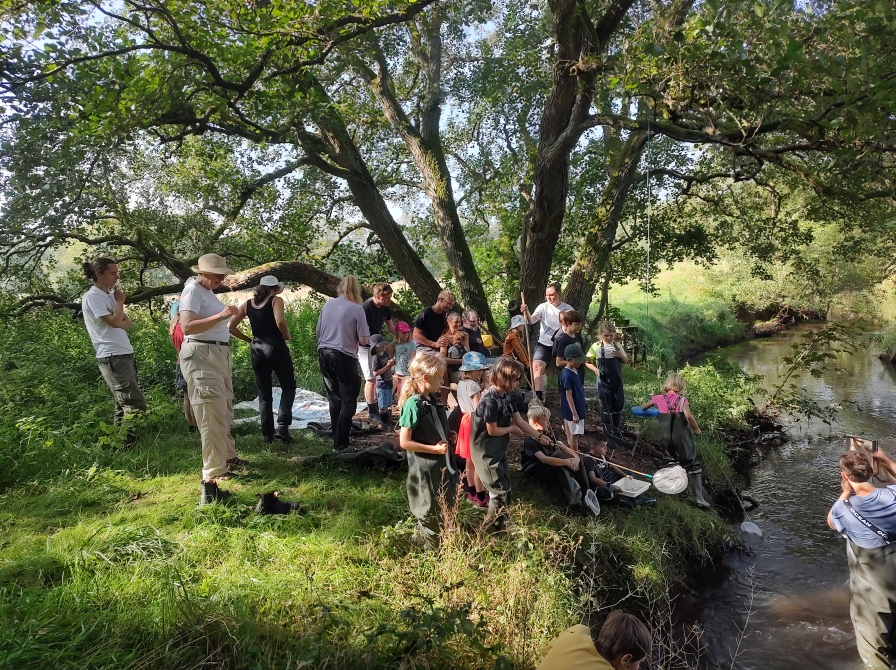 Billede af en gruppe mennesker ved en å - fra naturdagen 2024